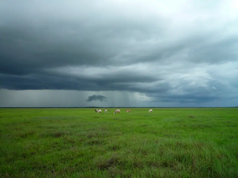 Los Llanos