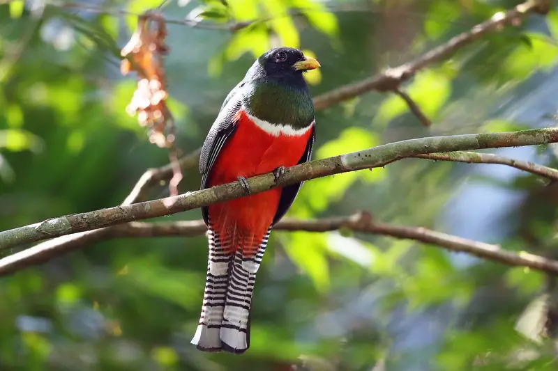 Parque Nacional Henri Pittier