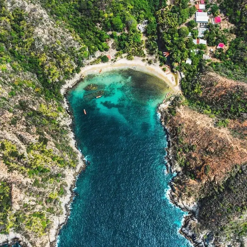 Tuja